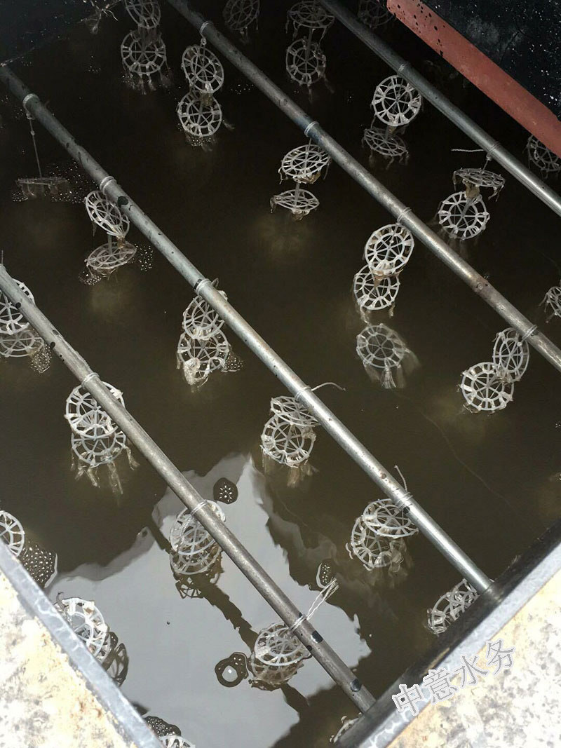 水淨化處理設備